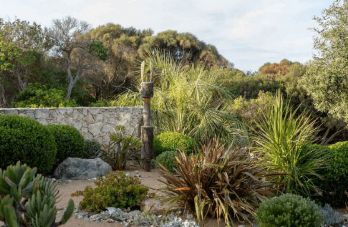 Water Saving Gardens - Sustainable Home Design